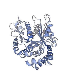 22481_7ju4_t_v1-3
Radial spoke 2 stalk, IDAc, and N-DRC attached with doublet microtubule