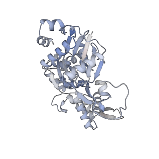 22481_7ju4_u_v1-3
Radial spoke 2 stalk, IDAc, and N-DRC attached with doublet microtubule