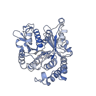 22481_7ju4_y_v1-3
Radial spoke 2 stalk, IDAc, and N-DRC attached with doublet microtubule