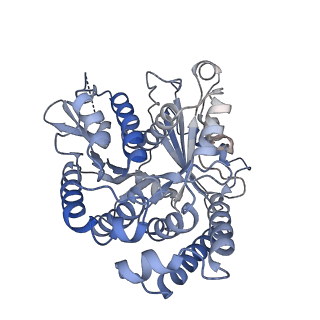 22481_7ju4_z_v1-3
Radial spoke 2 stalk, IDAc, and N-DRC attached with doublet microtubule