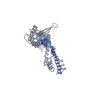 22490_7jup_B_v1-1
Structure of human TRPA1 in complex with antagonist compound 21