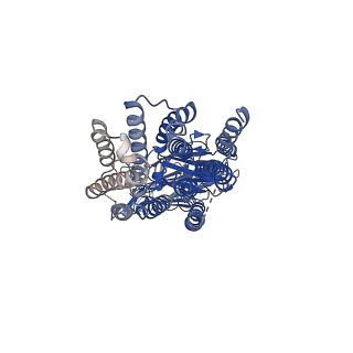 36661_8jul_A_v1-1
Cryo-EM structure of SIDT1 in complex with phosphatidic acid