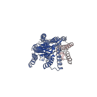 36661_8jul_B_v1-1
Cryo-EM structure of SIDT1 in complex with phosphatidic acid