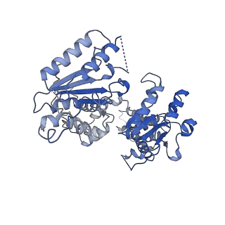 36665_8juw_A_v1-0
Human ATAD2 Walker B mutant-H3/H4K5Q complex, ATP state