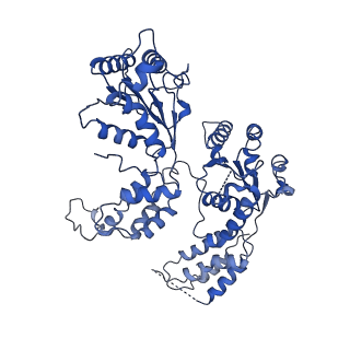 36665_8juw_B_v1-0
Human ATAD2 Walker B mutant-H3/H4K5Q complex, ATP state