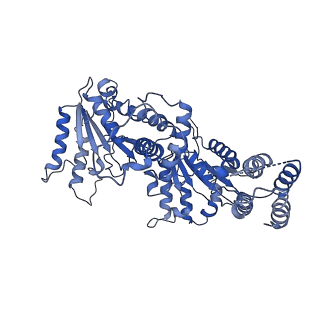 36665_8juw_D_v1-0
Human ATAD2 Walker B mutant-H3/H4K5Q complex, ATP state