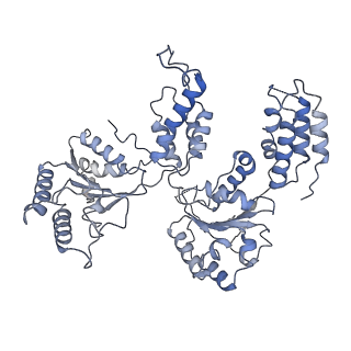 36665_8juw_E_v1-0
Human ATAD2 Walker B mutant-H3/H4K5Q complex, ATP state