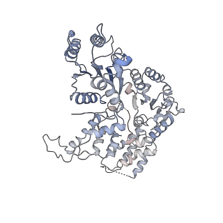 36666_8juy_B_v1-0
Human ATAD2 Walker B mutant-H3/H4K5Q complex, ATP state (Class II)