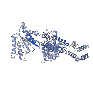 36666_8juy_D_v1-0
Human ATAD2 Walker B mutant-H3/H4K5Q complex, ATP state (Class II)