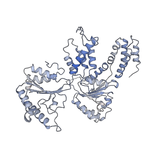 36666_8juy_E_v1-0
Human ATAD2 Walker B mutant-H3/H4K5Q complex, ATP state (Class II)