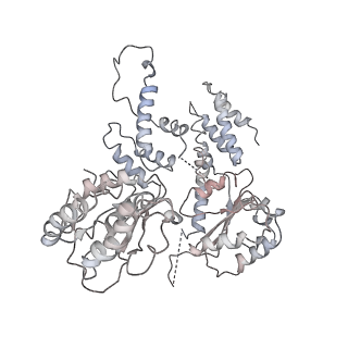 36666_8juy_F_v1-0
Human ATAD2 Walker B mutant-H3/H4K5Q complex, ATP state (Class II)