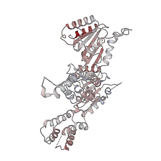 36667_8juz_A_v1-0
Human ATAD2 Walker B mutant-H3/H4K5Q complex, ATP state (Class III)