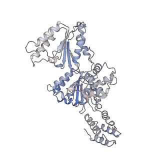 36667_8juz_B_v1-0
Human ATAD2 Walker B mutant-H3/H4K5Q complex, ATP state (Class III)