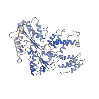36667_8juz_C_v1-0
Human ATAD2 Walker B mutant-H3/H4K5Q complex, ATP state (Class III)