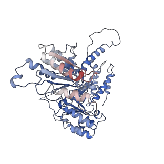 36667_8juz_D_v1-0
Human ATAD2 Walker B mutant-H3/H4K5Q complex, ATP state (Class III)