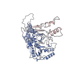 36667_8juz_E_v1-0
Human ATAD2 Walker B mutant-H3/H4K5Q complex, ATP state (Class III)