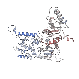 36667_8juz_F_v1-0
Human ATAD2 Walker B mutant-H3/H4K5Q complex, ATP state (Class III)