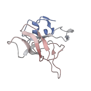 6643_5juo_AA_v1-3
Saccharomyces cerevisiae 80S ribosome bound with elongation factor eEF2-GDP-sordarin and Taura Syndrome Virus IRES, Structure I (fully rotated 40S subunit)