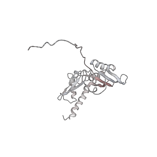 6643_5juo_AB_v1-3
Saccharomyces cerevisiae 80S ribosome bound with elongation factor eEF2-GDP-sordarin and Taura Syndrome Virus IRES, Structure I (fully rotated 40S subunit)