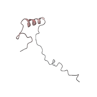 6643_5juo_BC_v1-3
Saccharomyces cerevisiae 80S ribosome bound with elongation factor eEF2-GDP-sordarin and Taura Syndrome Virus IRES, Structure I (fully rotated 40S subunit)