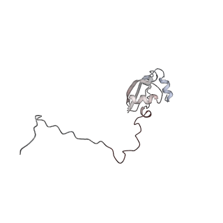 6643_5juo_CA_v1-3
Saccharomyces cerevisiae 80S ribosome bound with elongation factor eEF2-GDP-sordarin and Taura Syndrome Virus IRES, Structure I (fully rotated 40S subunit)