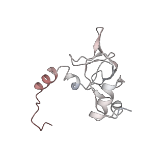 6643_5juo_DA_v1-3
Saccharomyces cerevisiae 80S ribosome bound with elongation factor eEF2-GDP-sordarin and Taura Syndrome Virus IRES, Structure I (fully rotated 40S subunit)