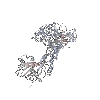 6643_5juo_DC_v1-3
Saccharomyces cerevisiae 80S ribosome bound with elongation factor eEF2-GDP-sordarin and Taura Syndrome Virus IRES, Structure I (fully rotated 40S subunit)