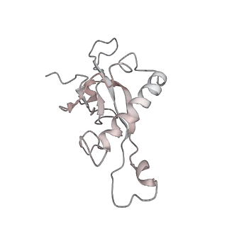 6643_5juo_EA_v1-3
Saccharomyces cerevisiae 80S ribosome bound with elongation factor eEF2-GDP-sordarin and Taura Syndrome Virus IRES, Structure I (fully rotated 40S subunit)