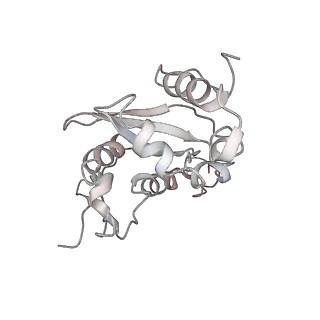 6643_5juo_EB_v1-3
Saccharomyces cerevisiae 80S ribosome bound with elongation factor eEF2-GDP-sordarin and Taura Syndrome Virus IRES, Structure I (fully rotated 40S subunit)