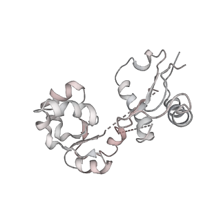 6643_5juo_E_v1-3
Saccharomyces cerevisiae 80S ribosome bound with elongation factor eEF2-GDP-sordarin and Taura Syndrome Virus IRES, Structure I (fully rotated 40S subunit)
