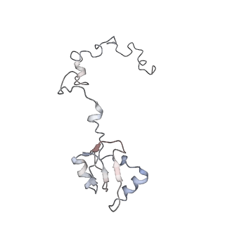 6643_5juo_FA_v1-3
Saccharomyces cerevisiae 80S ribosome bound with elongation factor eEF2-GDP-sordarin and Taura Syndrome Virus IRES, Structure I (fully rotated 40S subunit)