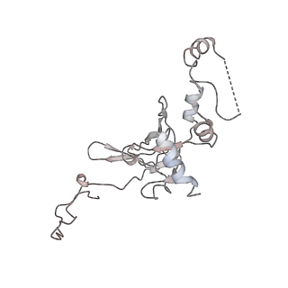 6643_5juo_FB_v1-3
Saccharomyces cerevisiae 80S ribosome bound with elongation factor eEF2-GDP-sordarin and Taura Syndrome Virus IRES, Structure I (fully rotated 40S subunit)