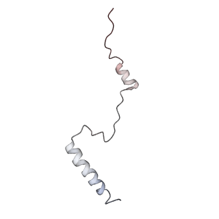 6643_5juo_GA_v1-3
Saccharomyces cerevisiae 80S ribosome bound with elongation factor eEF2-GDP-sordarin and Taura Syndrome Virus IRES, Structure I (fully rotated 40S subunit)