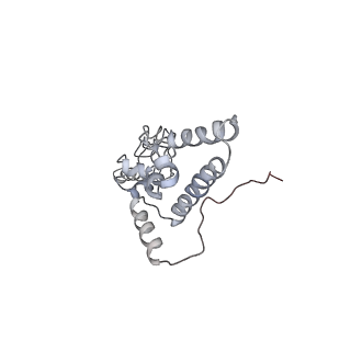 6643_5juo_GB_v1-3
Saccharomyces cerevisiae 80S ribosome bound with elongation factor eEF2-GDP-sordarin and Taura Syndrome Virus IRES, Structure I (fully rotated 40S subunit)