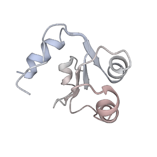 6643_5juo_HA_v1-3
Saccharomyces cerevisiae 80S ribosome bound with elongation factor eEF2-GDP-sordarin and Taura Syndrome Virus IRES, Structure I (fully rotated 40S subunit)