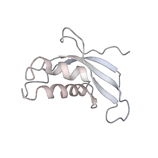 6643_5juo_IA_v1-3
Saccharomyces cerevisiae 80S ribosome bound with elongation factor eEF2-GDP-sordarin and Taura Syndrome Virus IRES, Structure I (fully rotated 40S subunit)