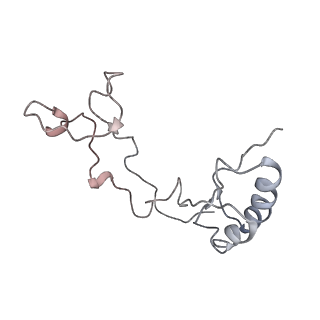 6643_5juo_JA_v1-3
Saccharomyces cerevisiae 80S ribosome bound with elongation factor eEF2-GDP-sordarin and Taura Syndrome Virus IRES, Structure I (fully rotated 40S subunit)