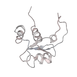 6643_5juo_JB_v1-3
Saccharomyces cerevisiae 80S ribosome bound with elongation factor eEF2-GDP-sordarin and Taura Syndrome Virus IRES, Structure I (fully rotated 40S subunit)