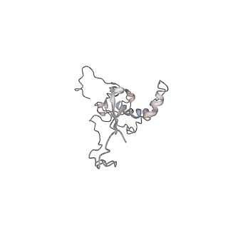6643_5juo_J_v1-3
Saccharomyces cerevisiae 80S ribosome bound with elongation factor eEF2-GDP-sordarin and Taura Syndrome Virus IRES, Structure I (fully rotated 40S subunit)
