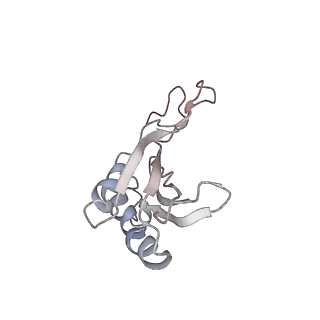 6643_5juo_LB_v1-3
Saccharomyces cerevisiae 80S ribosome bound with elongation factor eEF2-GDP-sordarin and Taura Syndrome Virus IRES, Structure I (fully rotated 40S subunit)