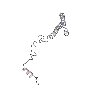 6643_5juo_MA_v1-3
Saccharomyces cerevisiae 80S ribosome bound with elongation factor eEF2-GDP-sordarin and Taura Syndrome Virus IRES, Structure I (fully rotated 40S subunit)