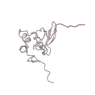 6643_5juo_MB_v1-3
Saccharomyces cerevisiae 80S ribosome bound with elongation factor eEF2-GDP-sordarin and Taura Syndrome Virus IRES, Structure I (fully rotated 40S subunit)