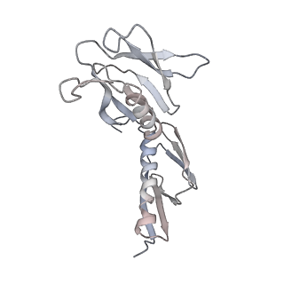 6643_5juo_M_v1-3
Saccharomyces cerevisiae 80S ribosome bound with elongation factor eEF2-GDP-sordarin and Taura Syndrome Virus IRES, Structure I (fully rotated 40S subunit)
