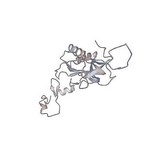 6643_5juo_N_v1-3
Saccharomyces cerevisiae 80S ribosome bound with elongation factor eEF2-GDP-sordarin and Taura Syndrome Virus IRES, Structure I (fully rotated 40S subunit)