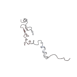 6643_5juo_OA_v1-3
Saccharomyces cerevisiae 80S ribosome bound with elongation factor eEF2-GDP-sordarin and Taura Syndrome Virus IRES, Structure I (fully rotated 40S subunit)