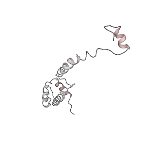 6643_5juo_OB_v1-3
Saccharomyces cerevisiae 80S ribosome bound with elongation factor eEF2-GDP-sordarin and Taura Syndrome Virus IRES, Structure I (fully rotated 40S subunit)