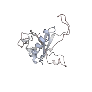 6643_5juo_O_v1-3
Saccharomyces cerevisiae 80S ribosome bound with elongation factor eEF2-GDP-sordarin and Taura Syndrome Virus IRES, Structure I (fully rotated 40S subunit)