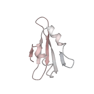 6643_5juo_PA_v1-3
Saccharomyces cerevisiae 80S ribosome bound with elongation factor eEF2-GDP-sordarin and Taura Syndrome Virus IRES, Structure I (fully rotated 40S subunit)
