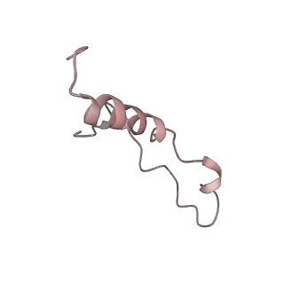 6643_5juo_QA_v1-3
Saccharomyces cerevisiae 80S ribosome bound with elongation factor eEF2-GDP-sordarin and Taura Syndrome Virus IRES, Structure I (fully rotated 40S subunit)