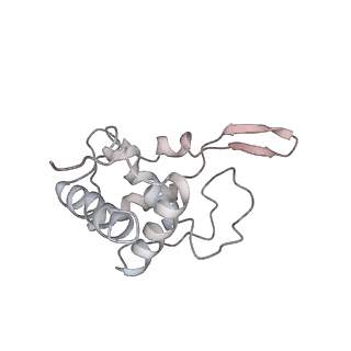 6643_5juo_QB_v1-3
Saccharomyces cerevisiae 80S ribosome bound with elongation factor eEF2-GDP-sordarin and Taura Syndrome Virus IRES, Structure I (fully rotated 40S subunit)